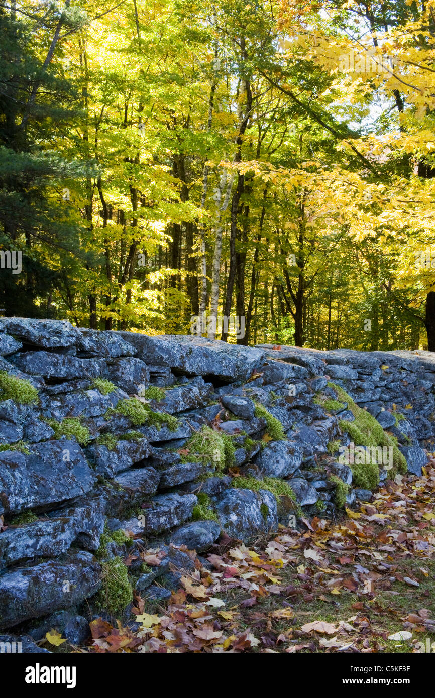 Cemetery with rock wall. Stock Photo