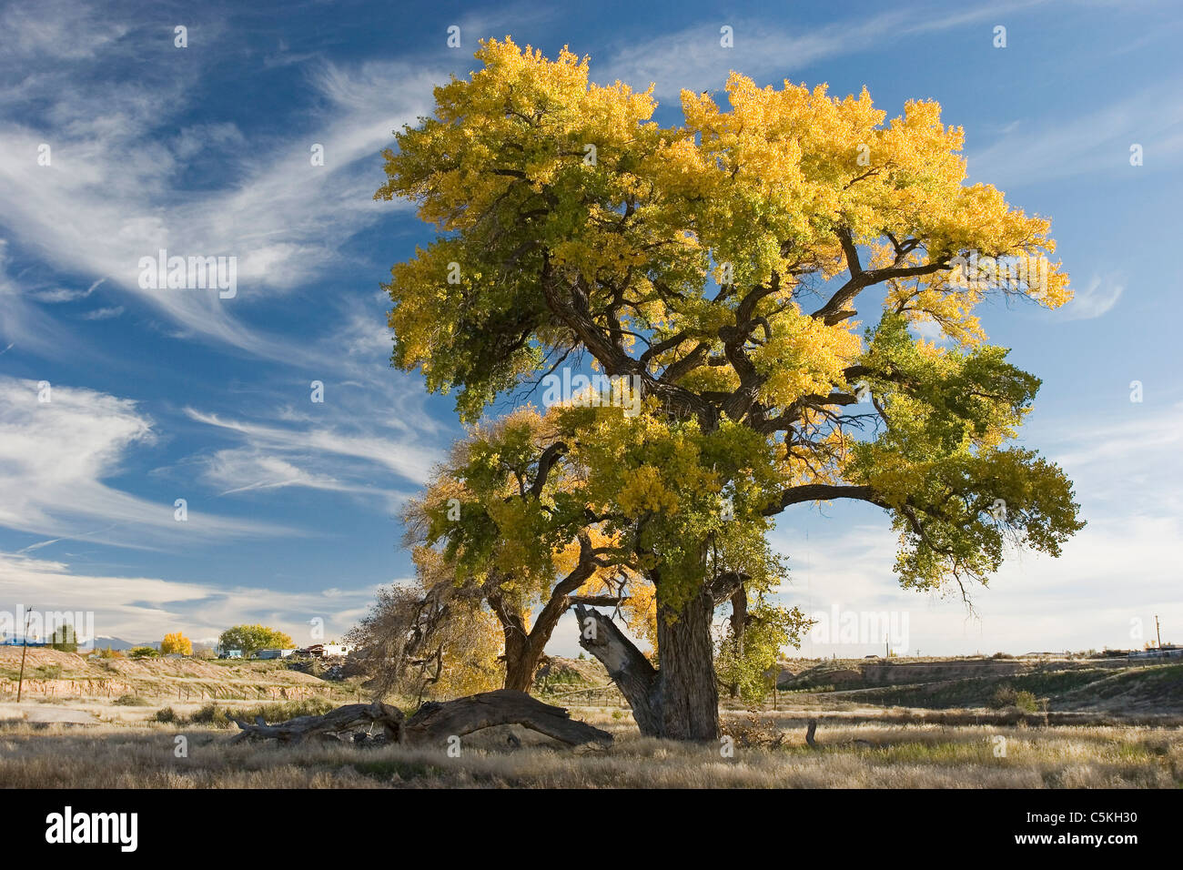 Los luceros hires stock photography and images Alamy