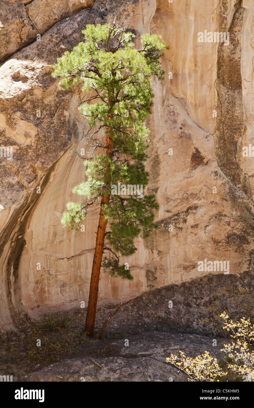 El Morro National Monument Stock Photo