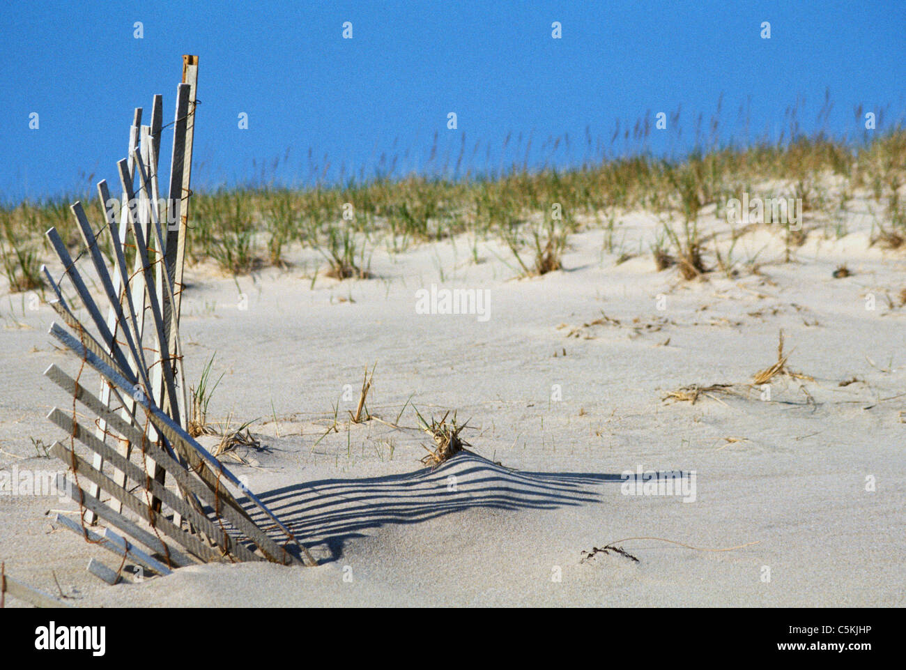 snow fencing, South beach, MA Stock Photo