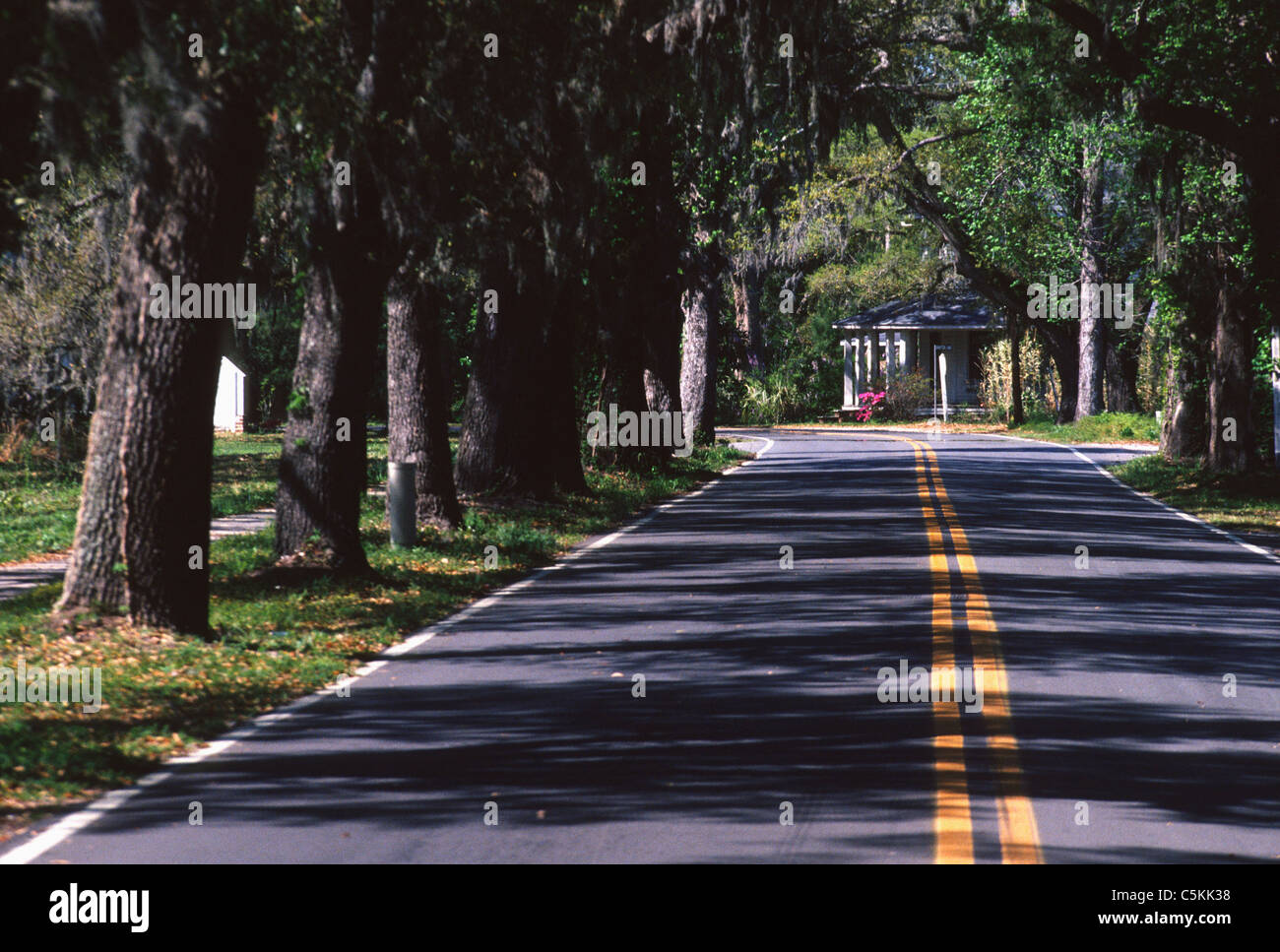 Main Street, McClellanville, SC Stock Photo Alamy
