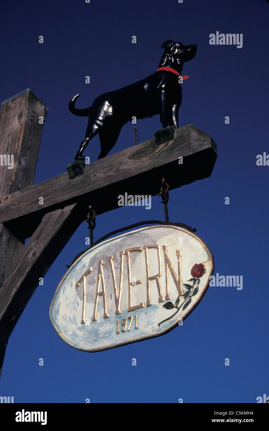 Black Dog tavern, Marthaâ€™s Vineyard, MA Stock Photo Alamy
