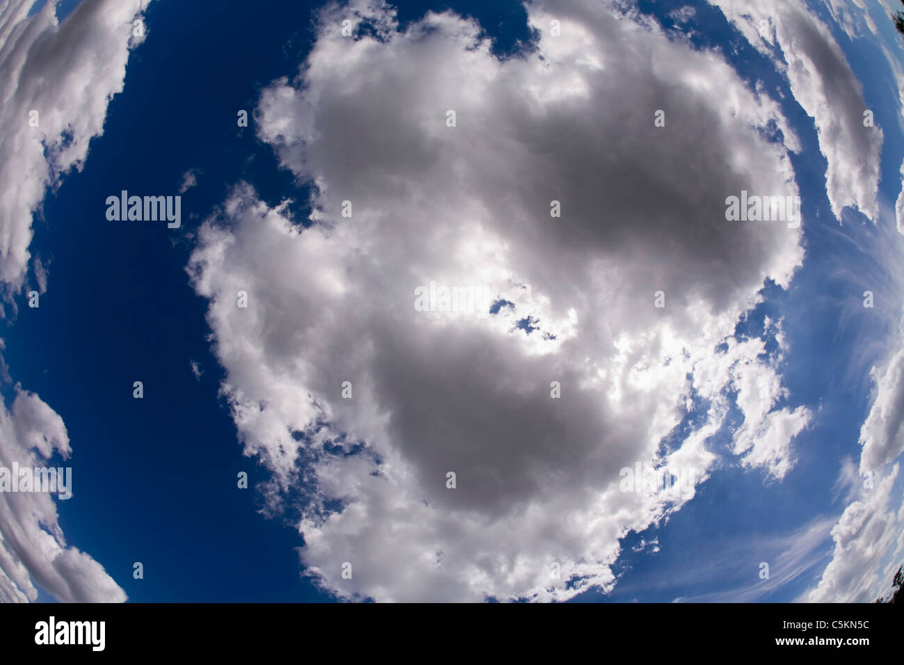 cloud in sky from underneath, Big Cypress National Preserve, FL Stock Photo