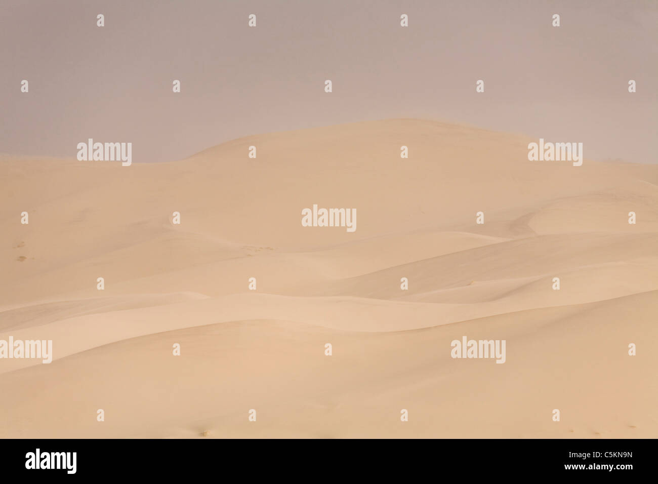 Stabilizing sand dunes hi-res stock photography and images - Alamy