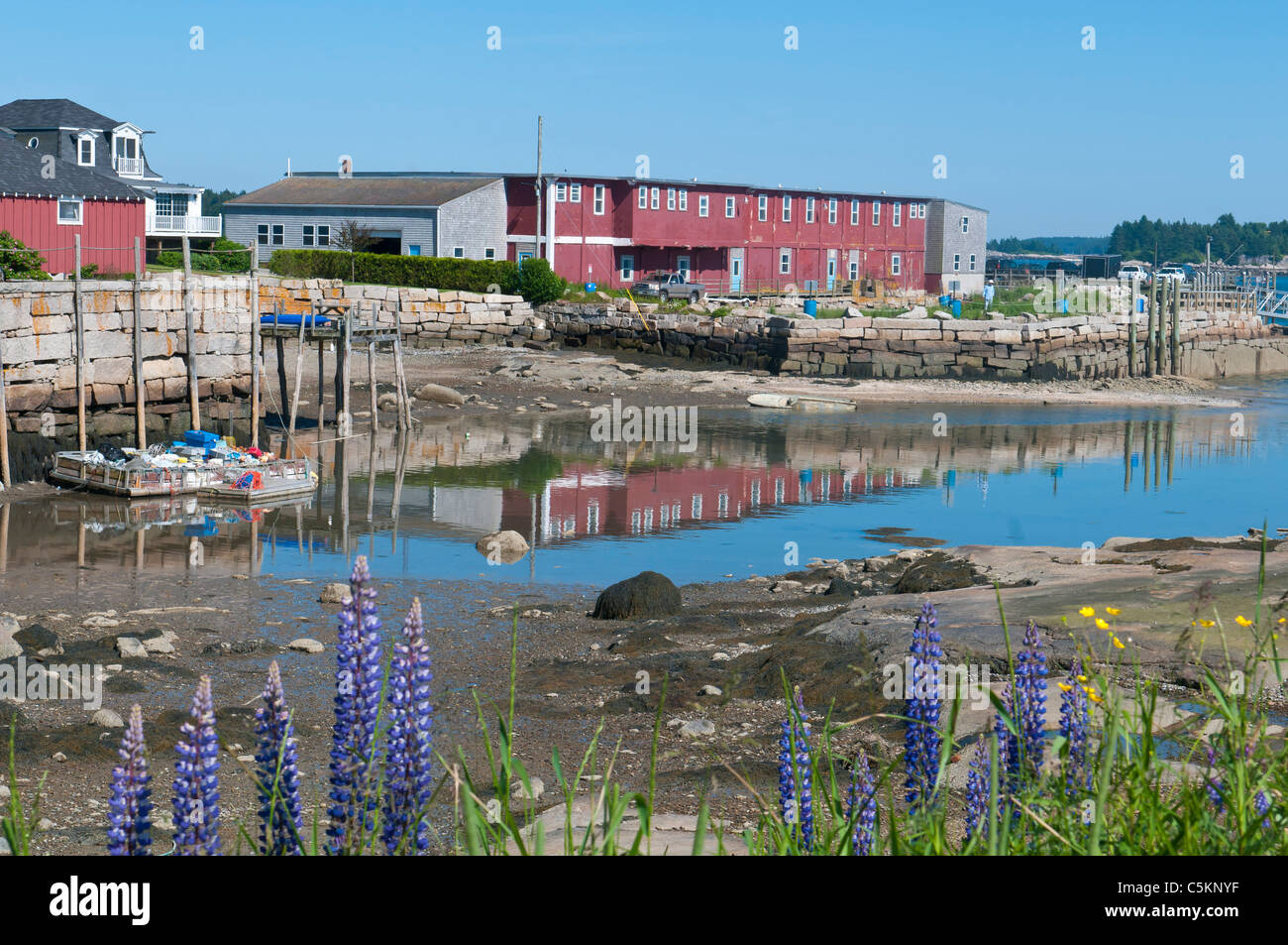 Harbor Stonington Maine Stock Photo Alamy
