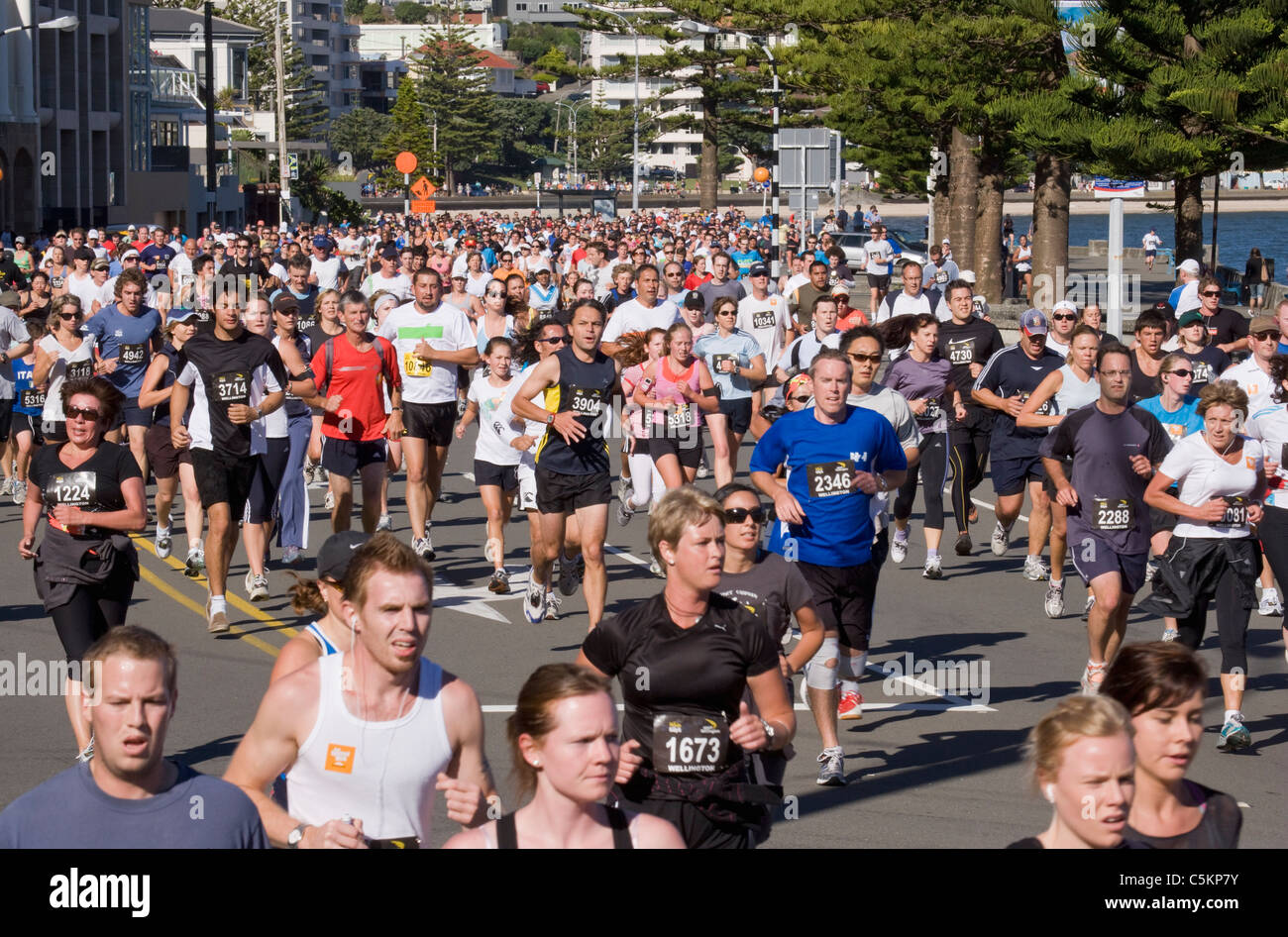 Hundreds of people running in the 2009 Round The Bays Fun Run, Oriental Parade, Wellington, New