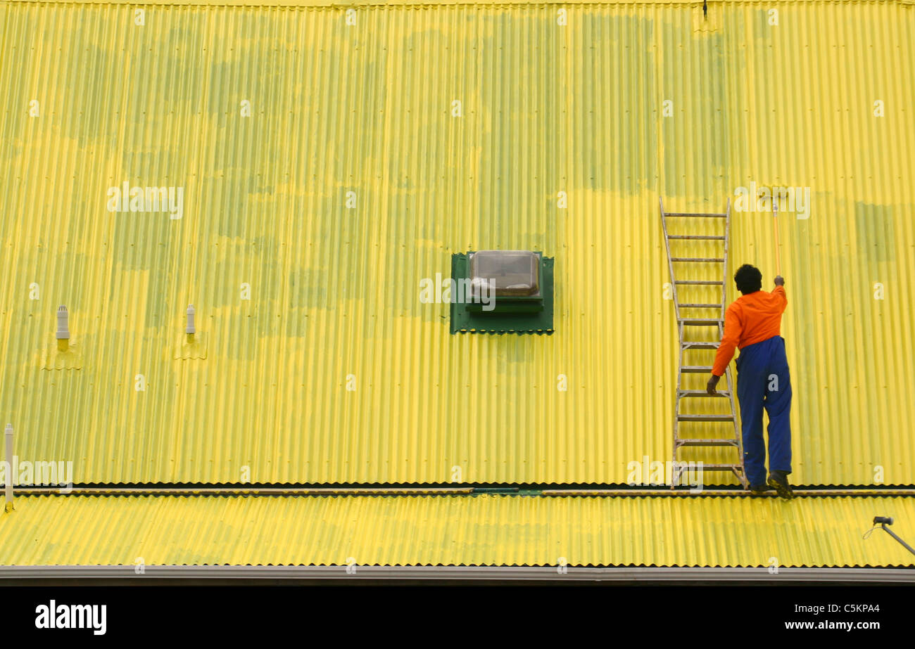Man in orange and blue overalls painting a corrugated iron roof yellow, Clevedon, New Zealand Stock Photo