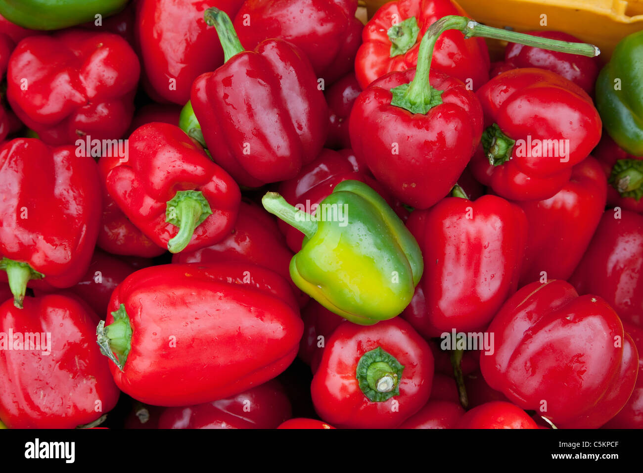 One green bell pepper in a box of red ones on a market stall, Wellington, New Zealand Stock