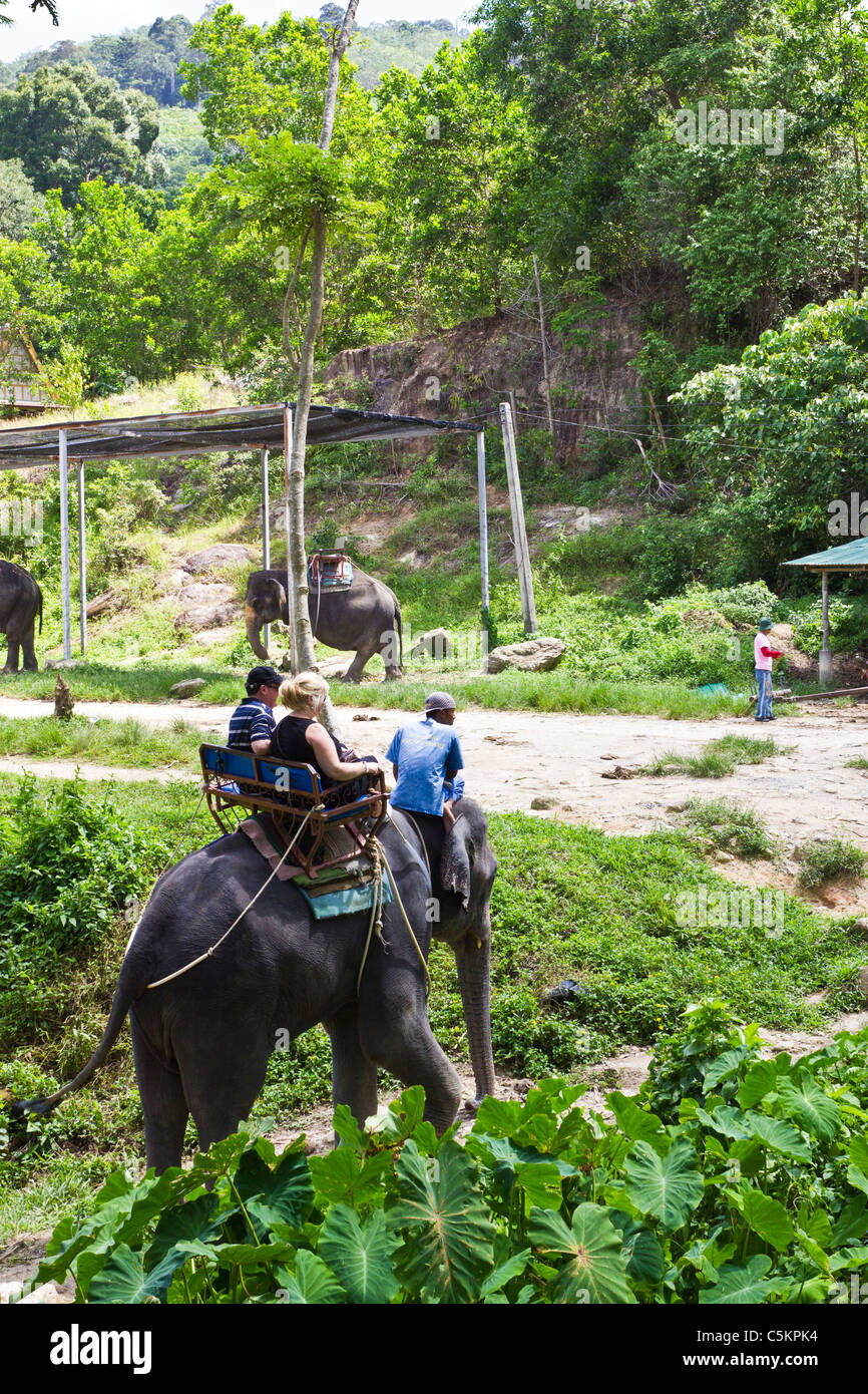 Thailand elephant ride hires stock photography and images Alamy