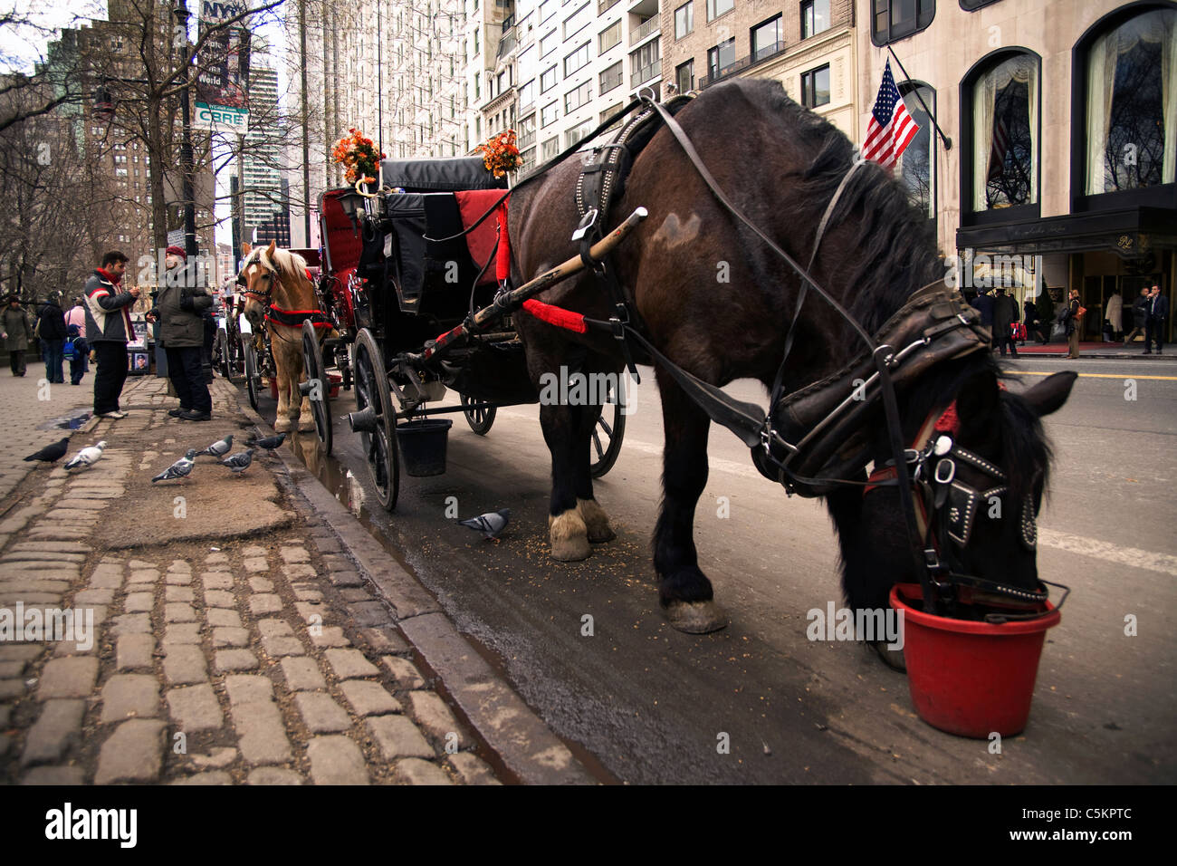1906 Midtown NEW YORK Street Scene PHOTO Street Cars 192-b Horse Carriages 
