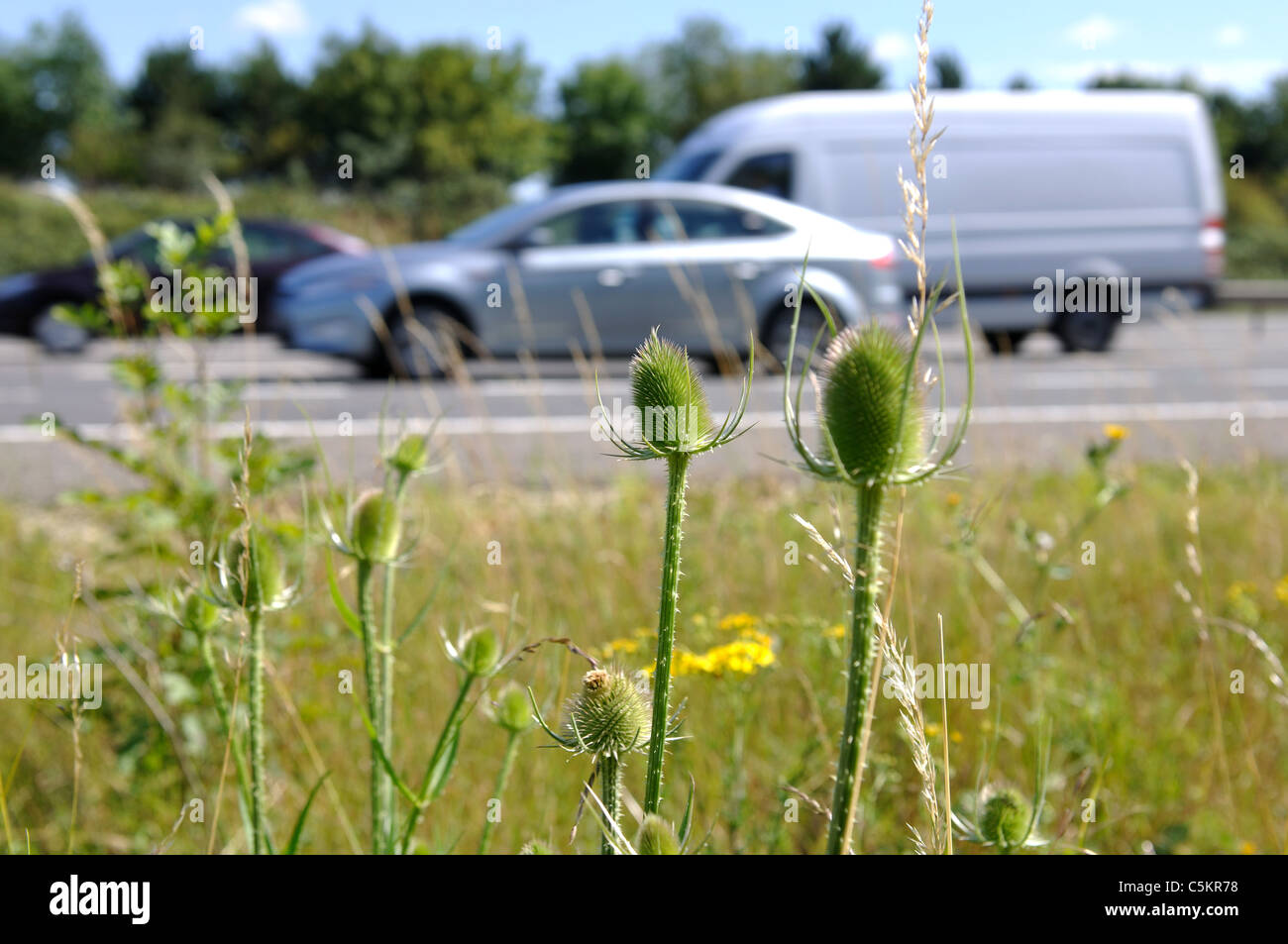 M40 motorway verge with vehicles passing, Warwickshire, UK Stock Photo