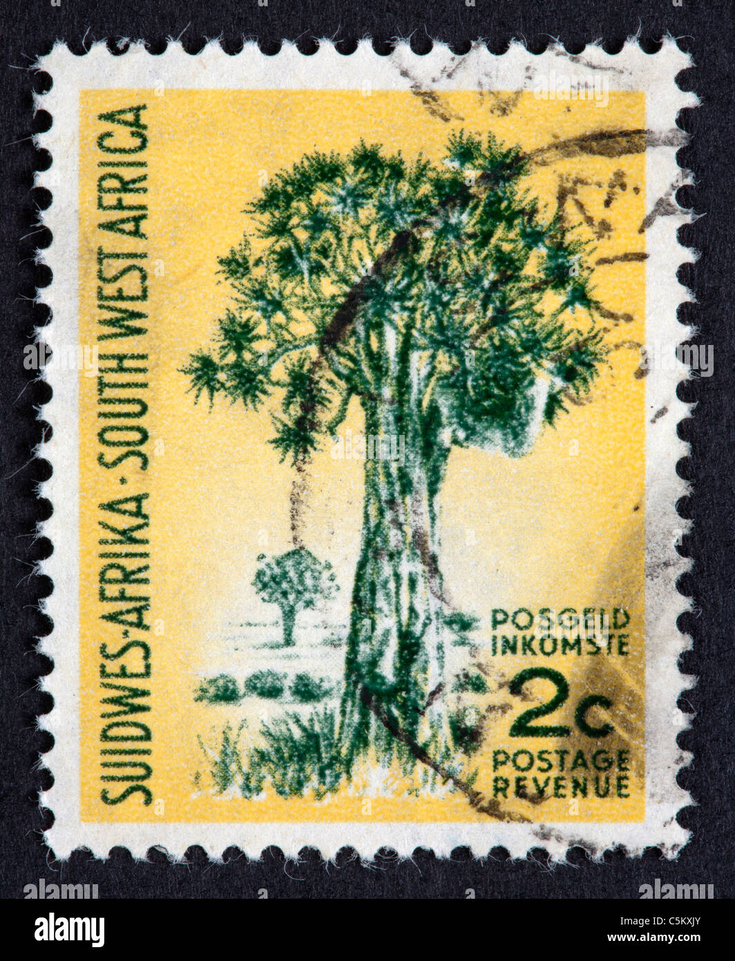 South-West Africa postage stamp Stock Photo