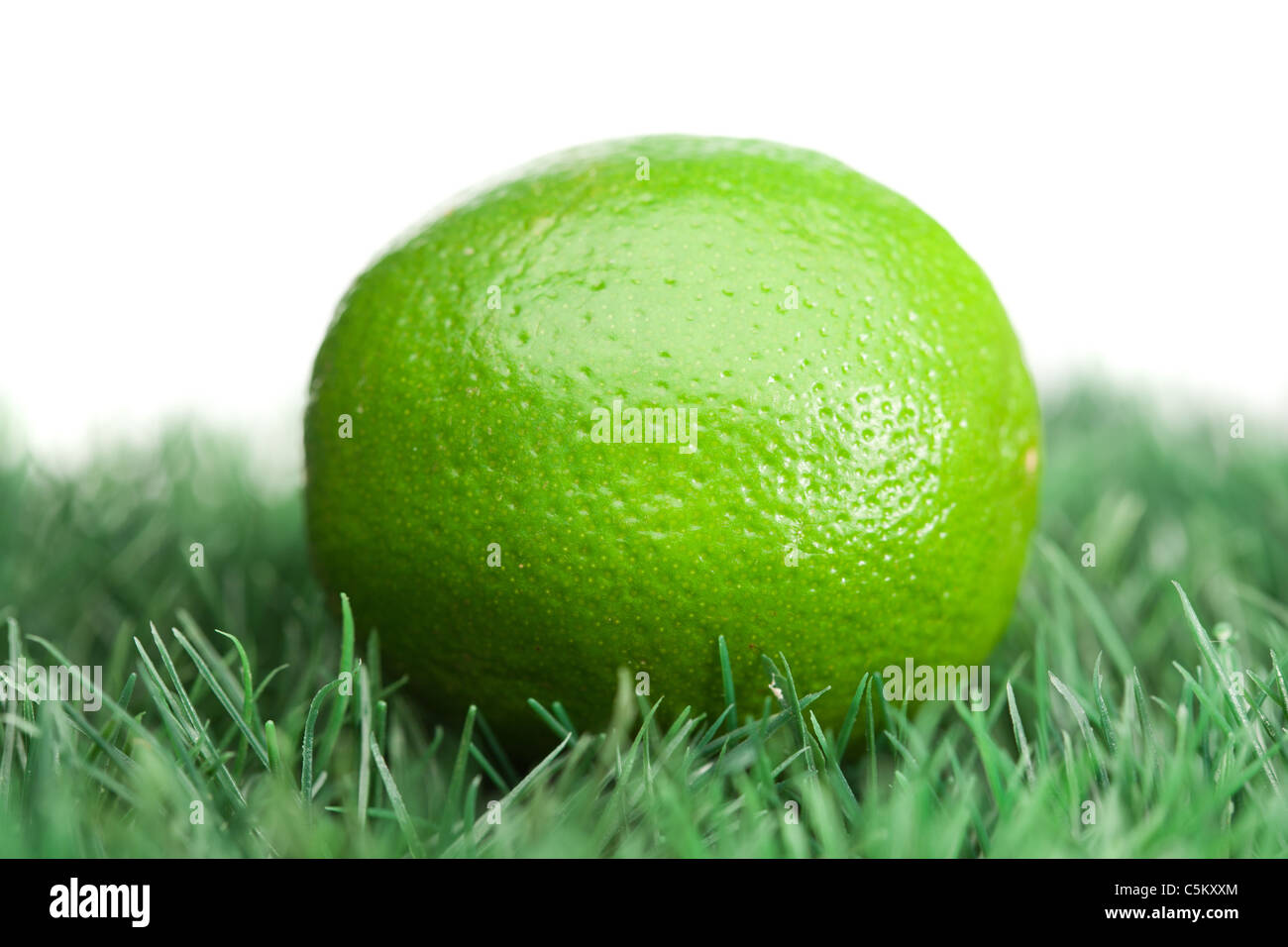 Lime on grass Stock Photo Alamy