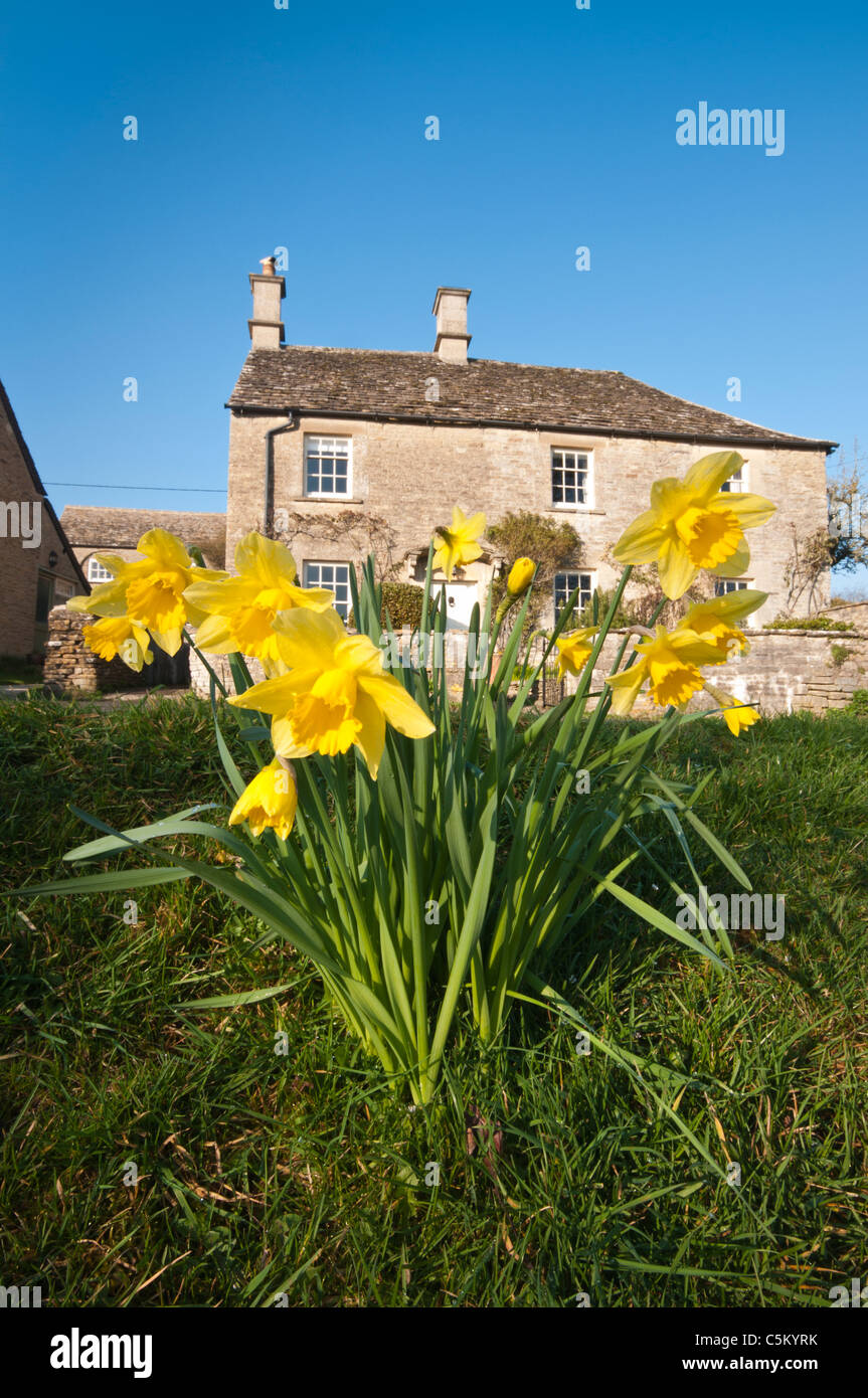 Cotswold stone cottage with daffodils in the foreground, Eastleach Turville, Gloucestershire, UK Stock Photo