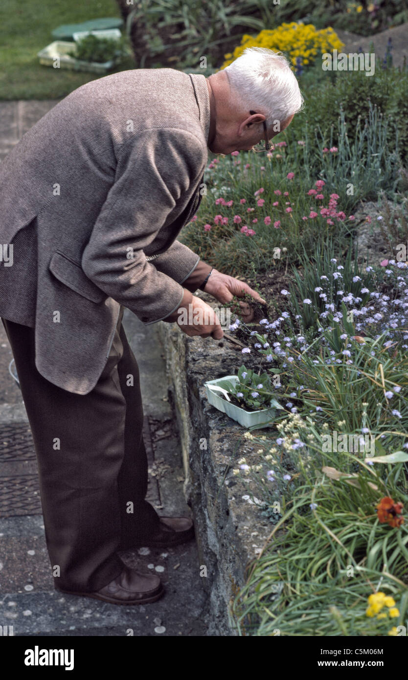 old man gardening Stock Photo - Alamy