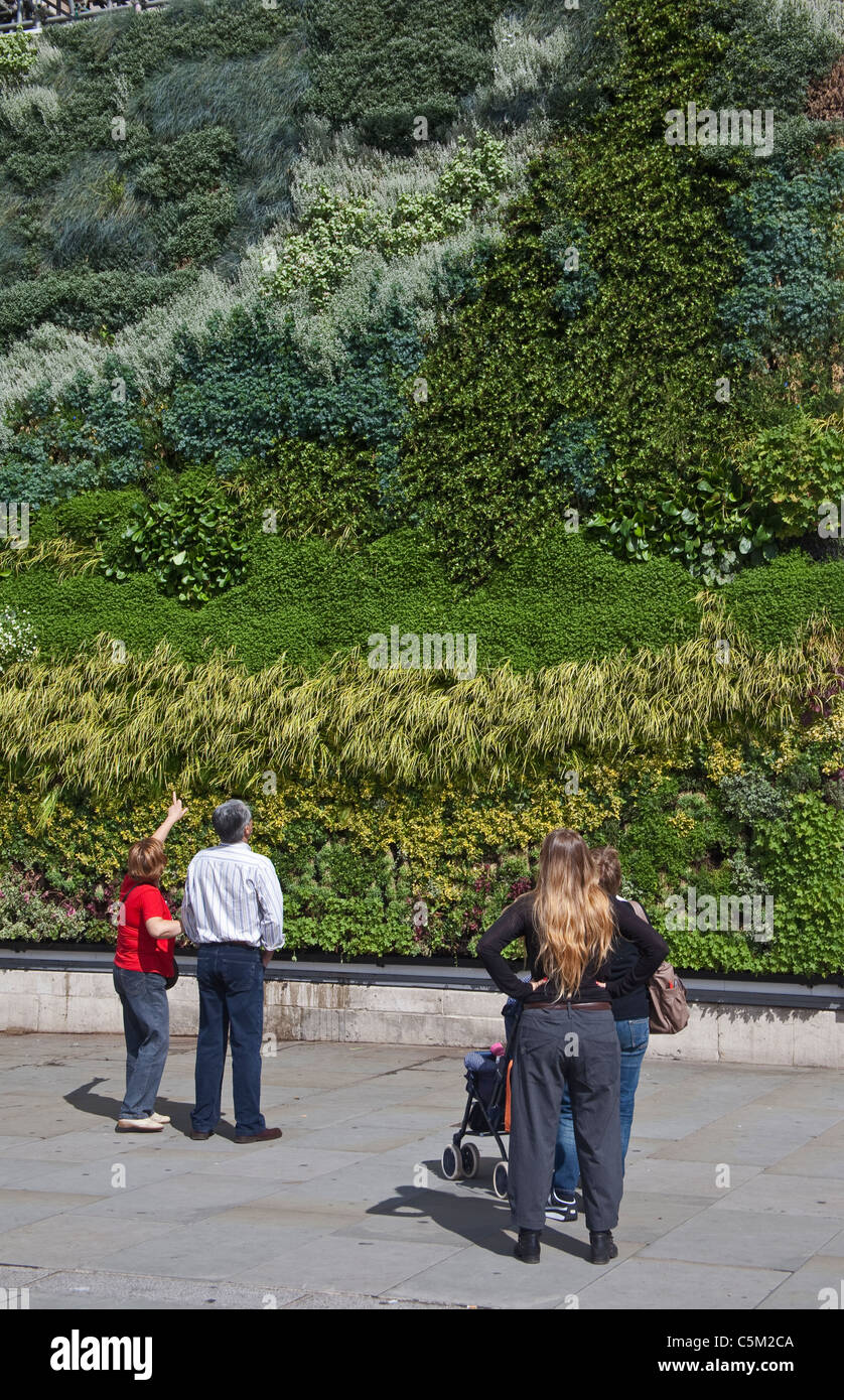 London, The National Gallery The Living Wall July 2011 Stock Photo