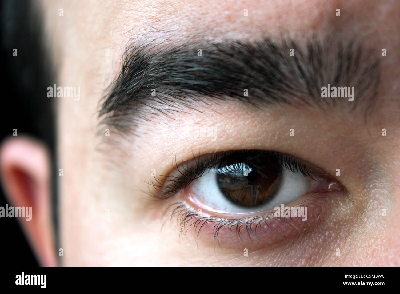 Closeup of a mans brown eye and eyebrow. Shallow depth of field. Stock Photo