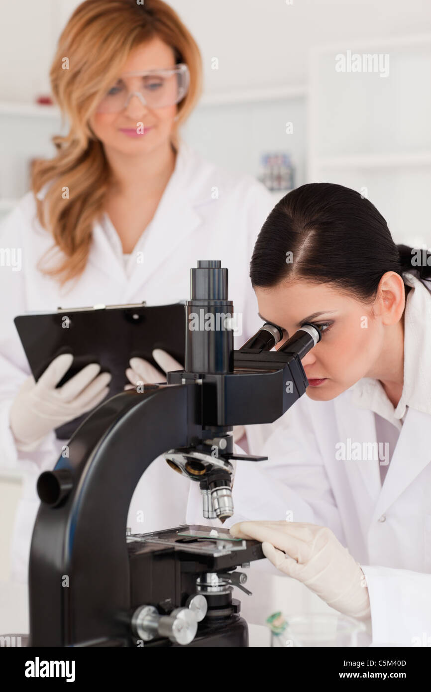 Two scientists conducting an experiment Stock Photo