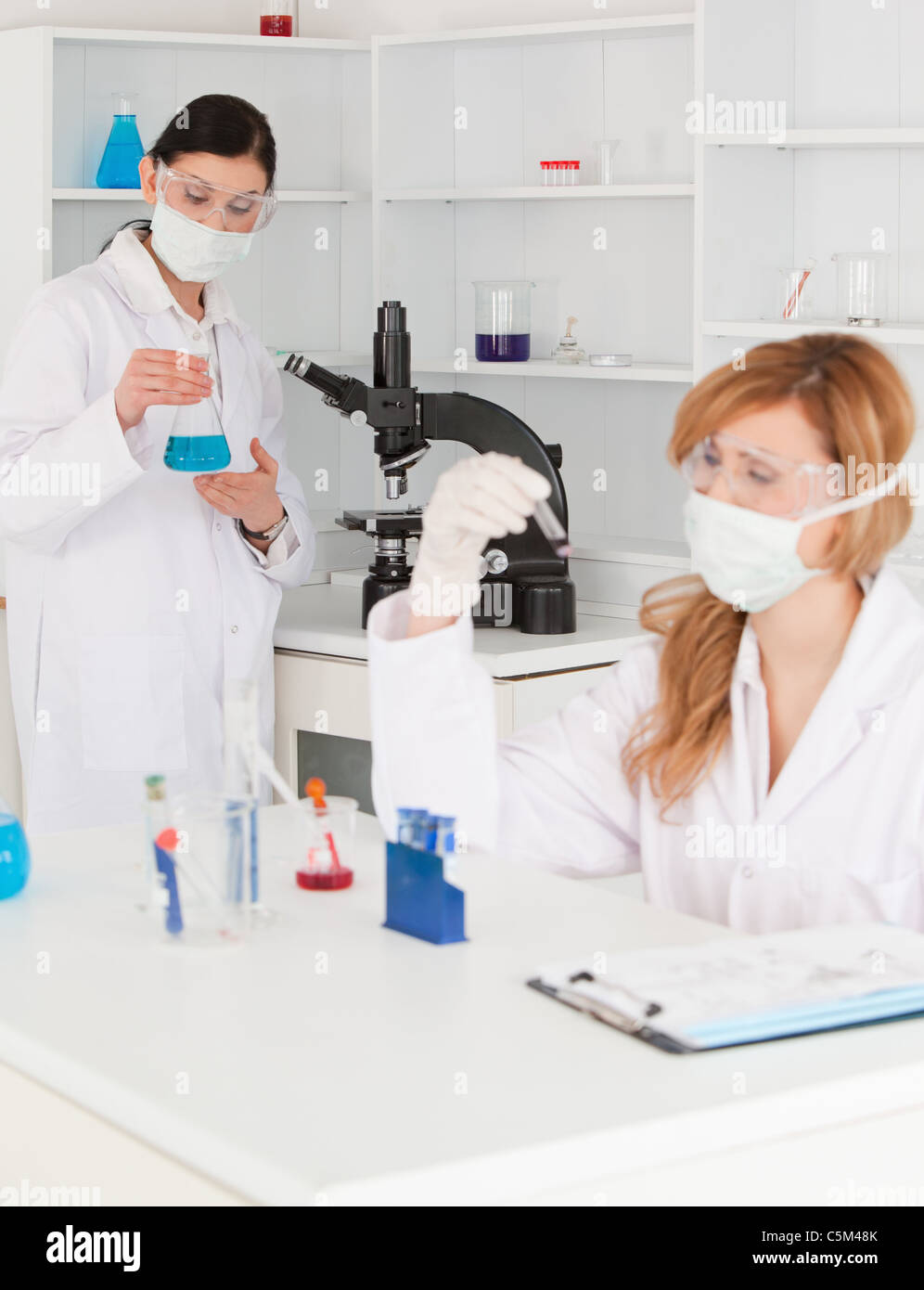 Blonde and dark-haired scientists working in a lab Stock Photo