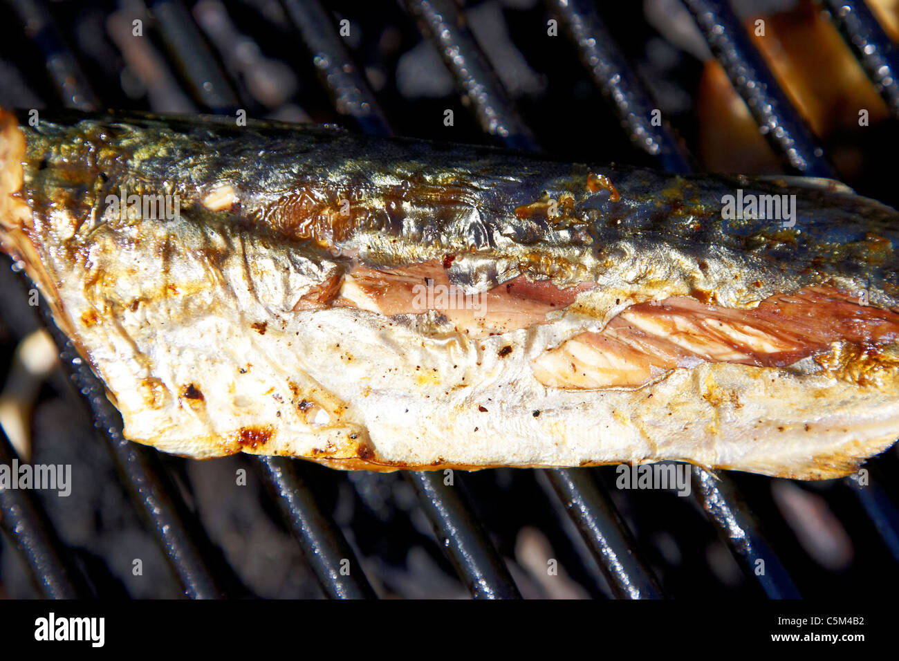 Mackerel uk bbq hires stock photography and images Alamy