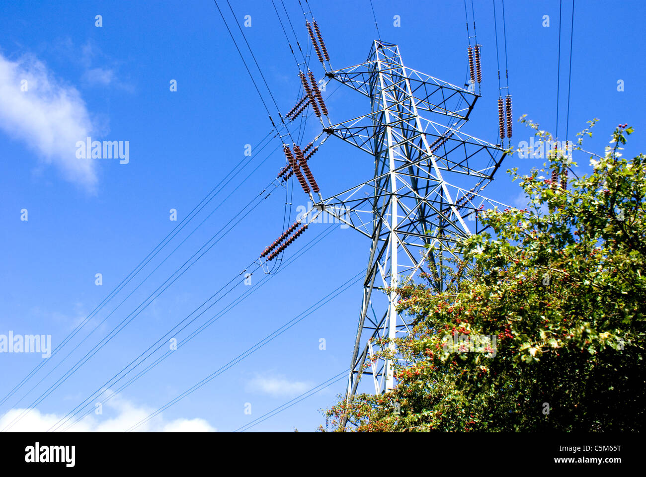 Electricity pylon above trees Stock Photo Alamy