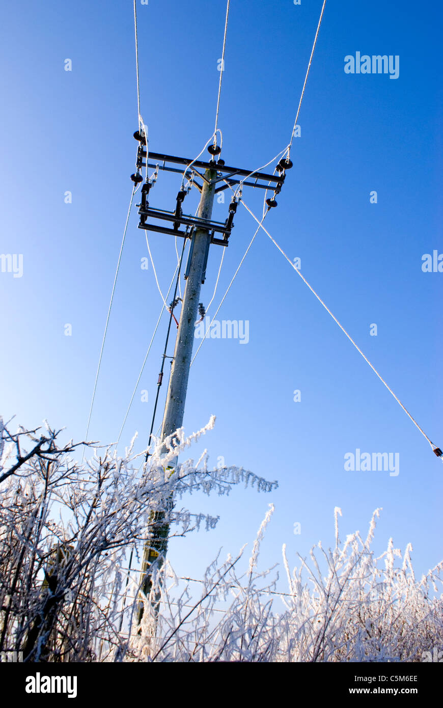 Electricity distribution pole with ice on wires Stock Photo Alamy