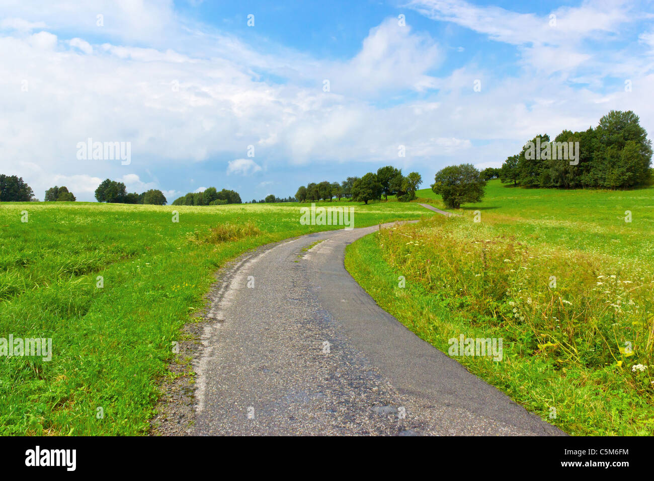 road in summer landscape Stock Photo
