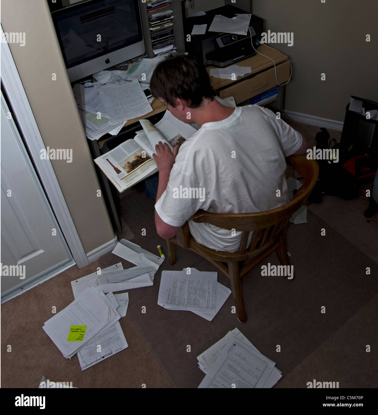 teenager studying Stock Photo