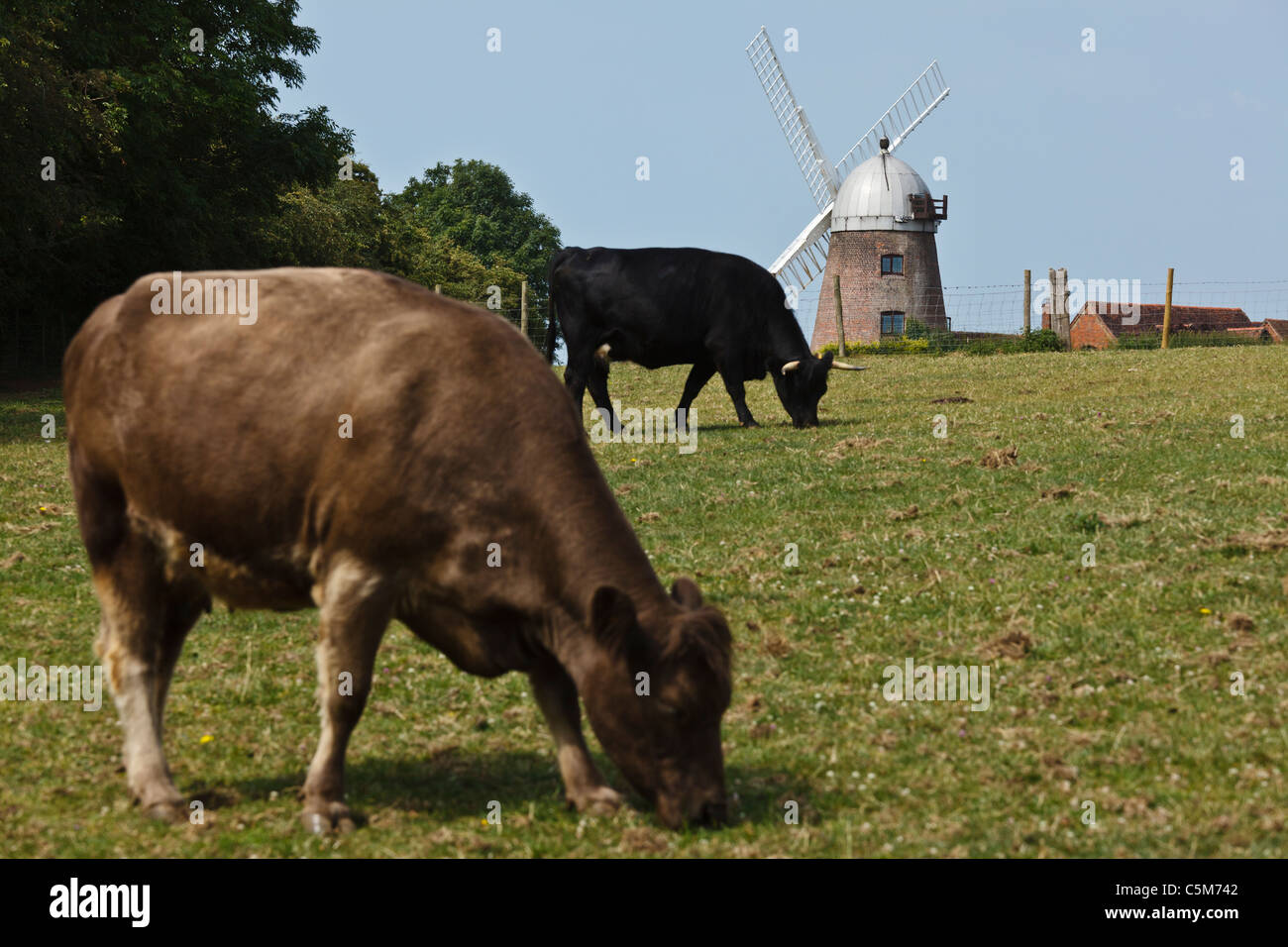 Napton windmill, Napton on the Hill, Warwickshire, England Stock Photo