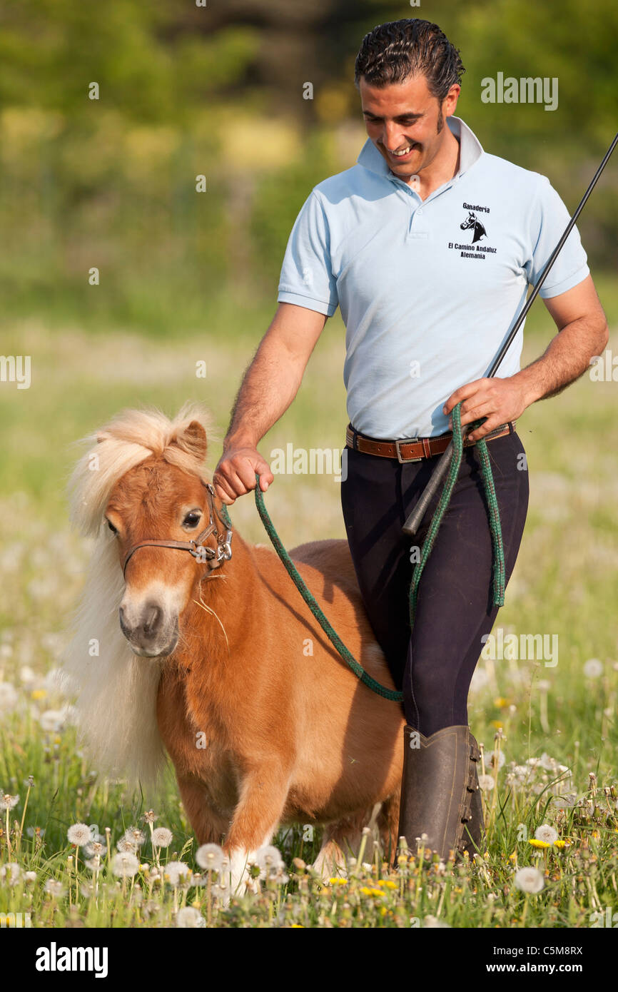 Falabella cheap