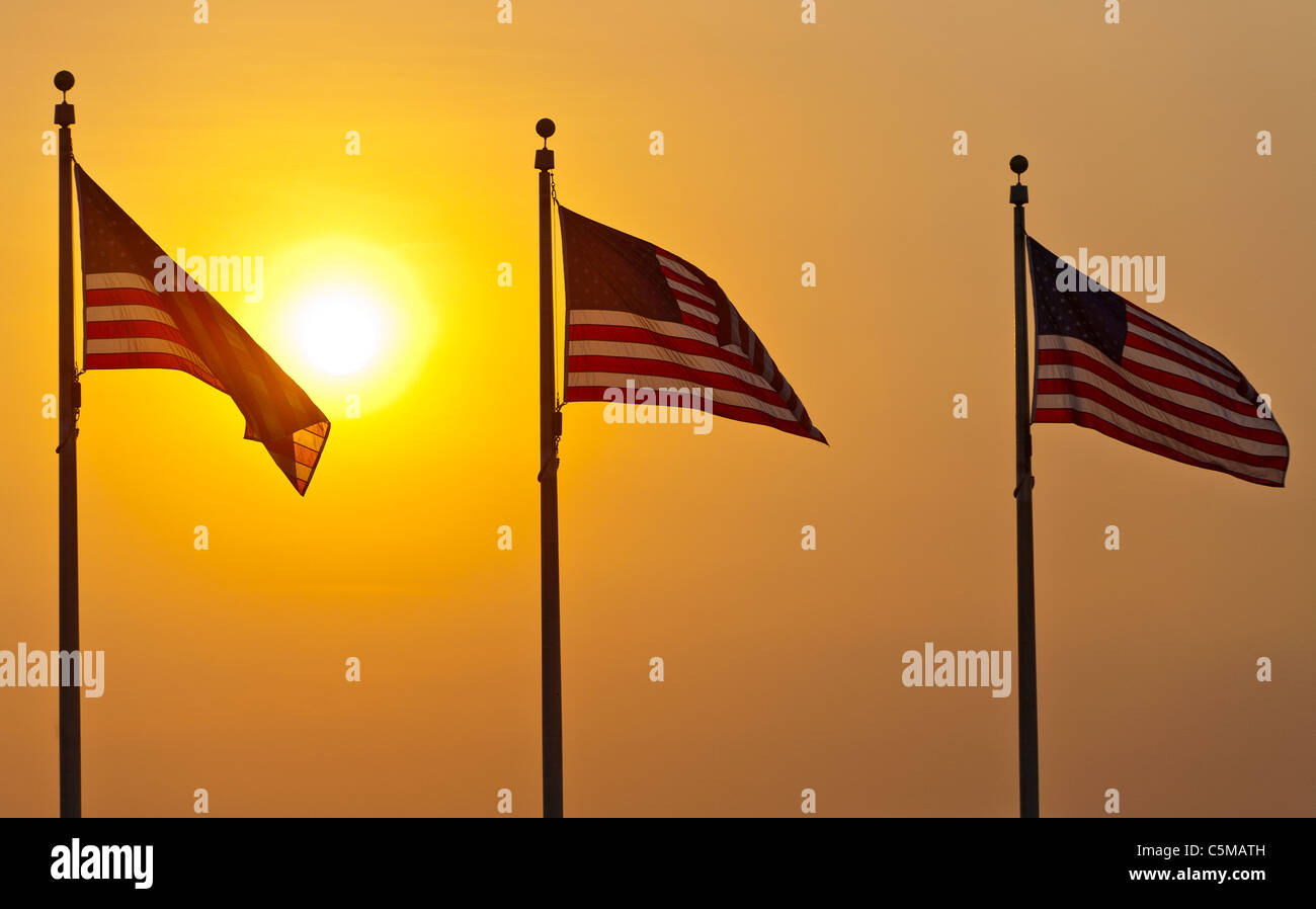 American Flags at sunset. Stock Photo