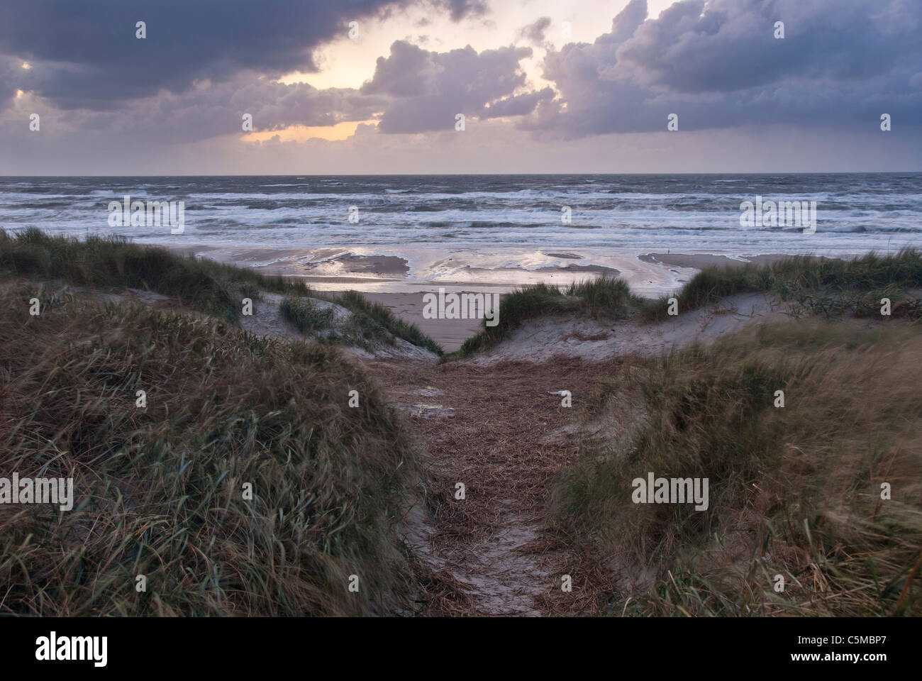 Sunset on North Sea beach with dune in foreground at Vejers beach ...