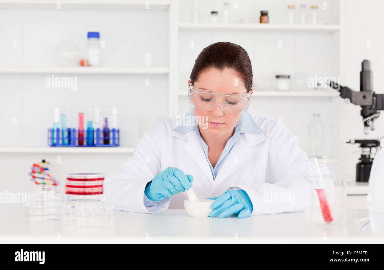 Young scientist preparing an experimentation Stock Photo