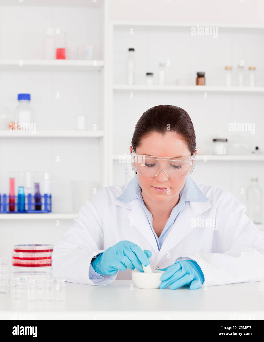Young scientist preparing an experimentation wearing gloves Stock Photo