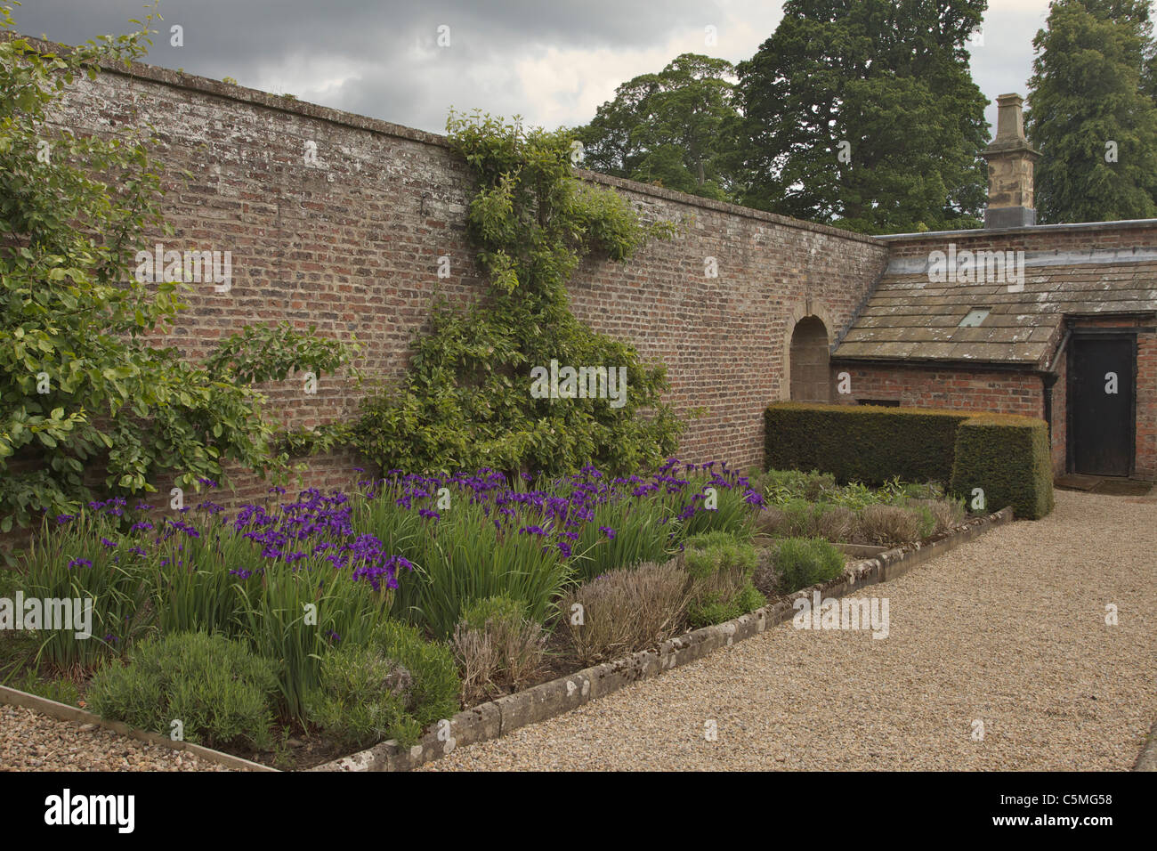 Part of the walled garden at Raby Castle, County Durham Stock Photo