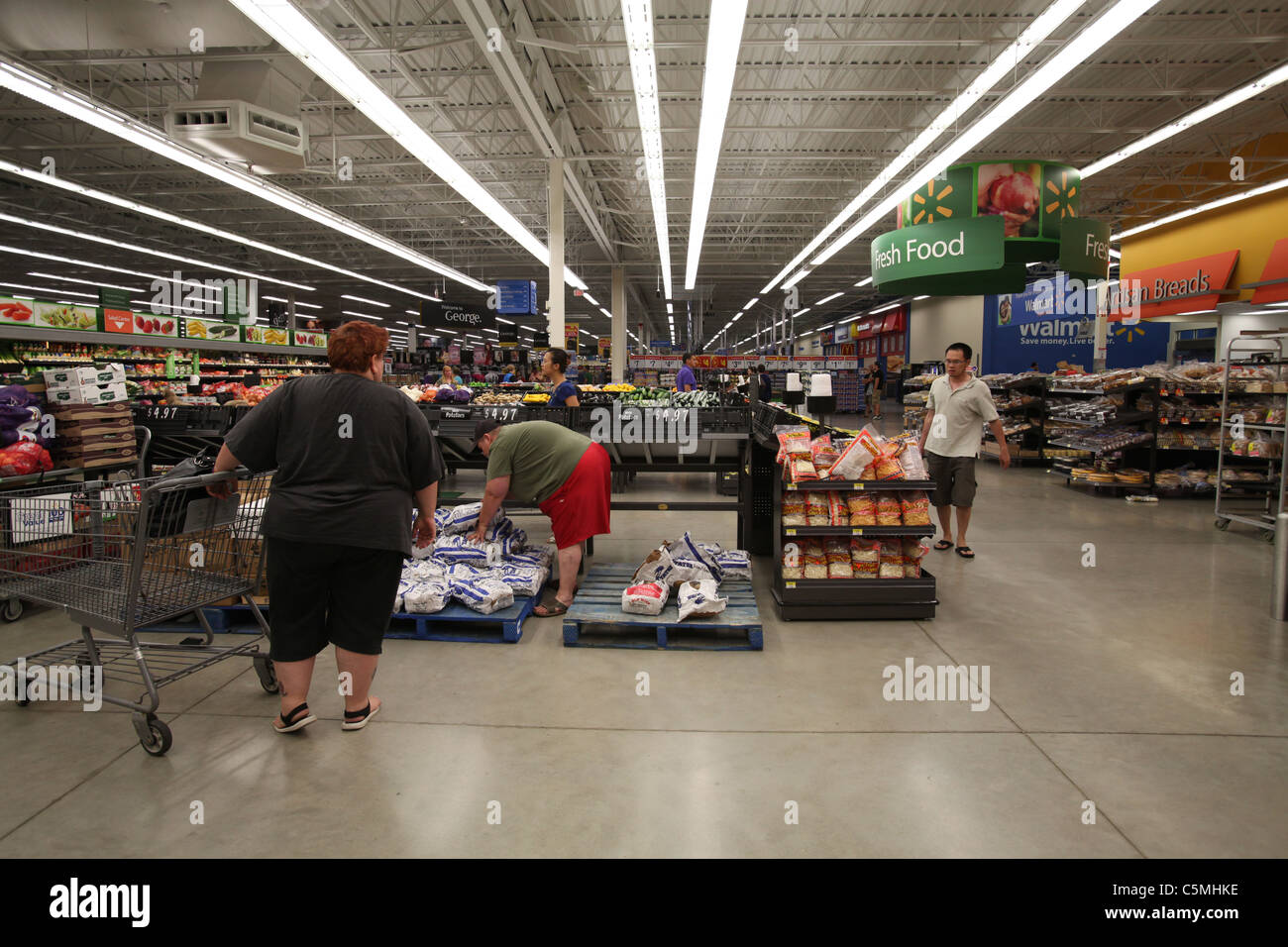 Two obese women buying groceries in Walmart superstore in Kitchener, Ontario, Canada 2011 Stock Photo