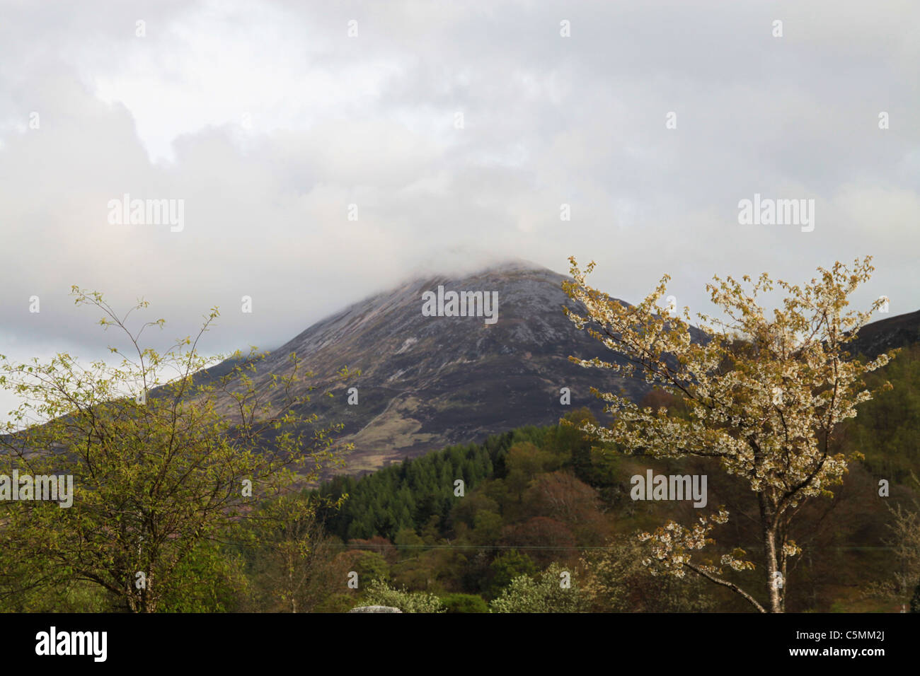 The view of Schiehallion Munro from Kinloch Rannoch, Perthshire