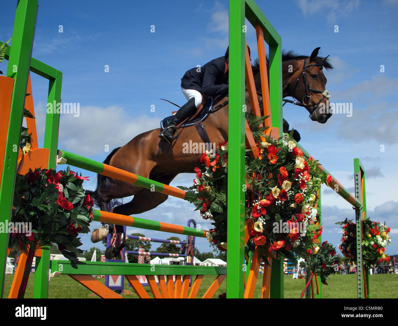 Show jumping at Burgham Horse Trials, Northumberland Stock Photo Alamy