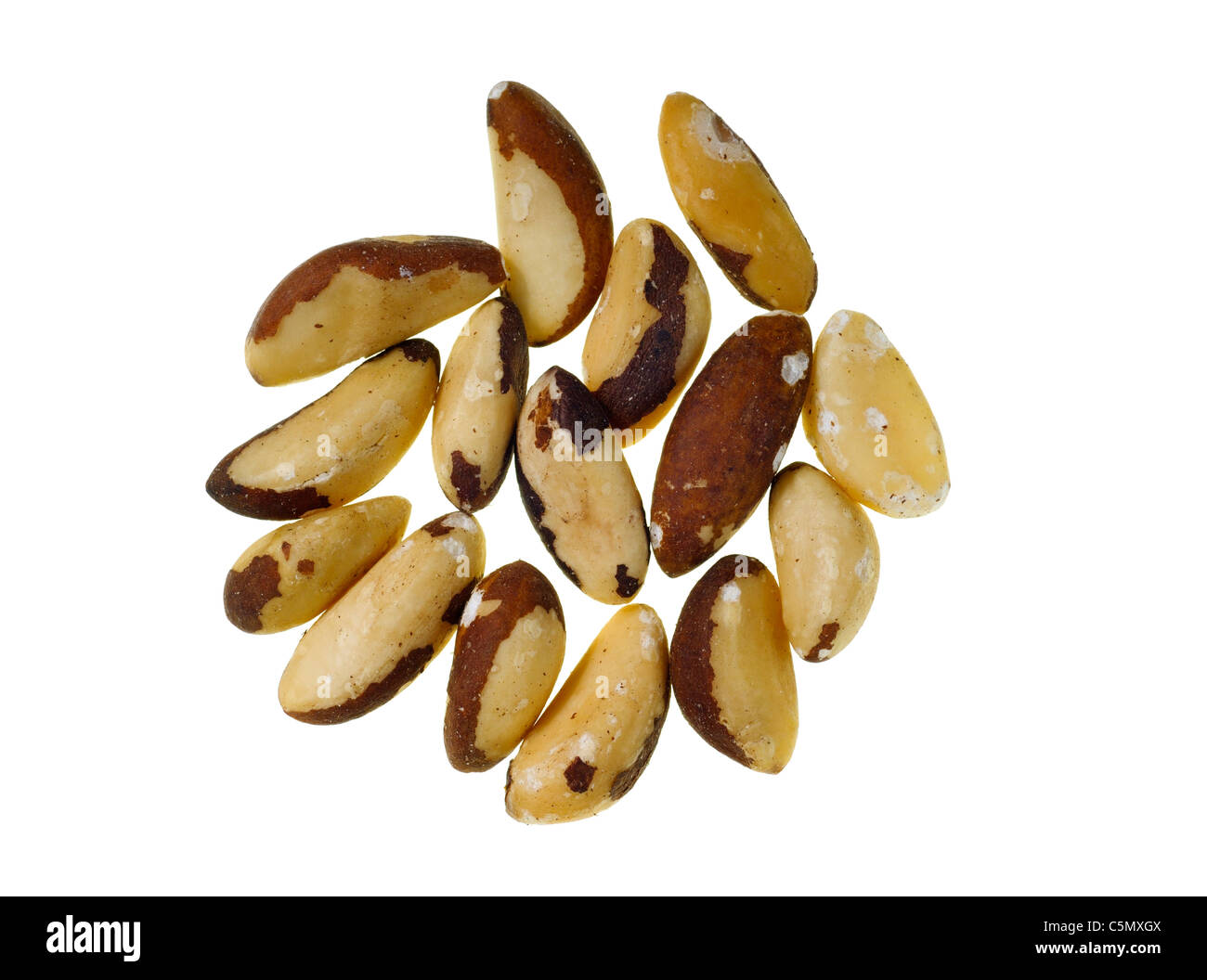 Brazil nuts Stock Photo