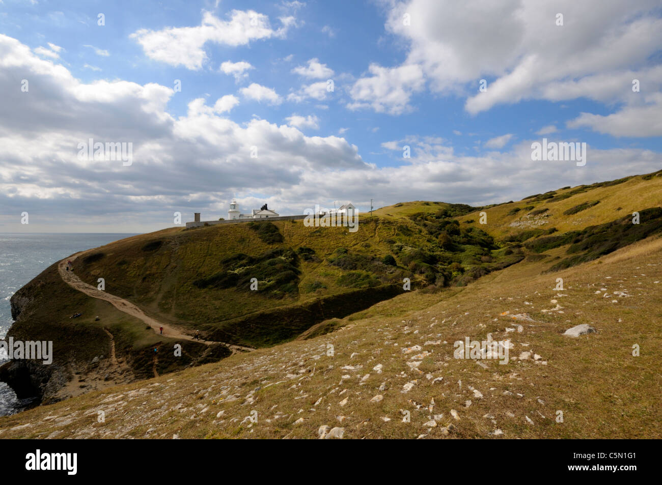 The Lighthouse at Durlston Country Park, Swanage Stock Photo Alamy