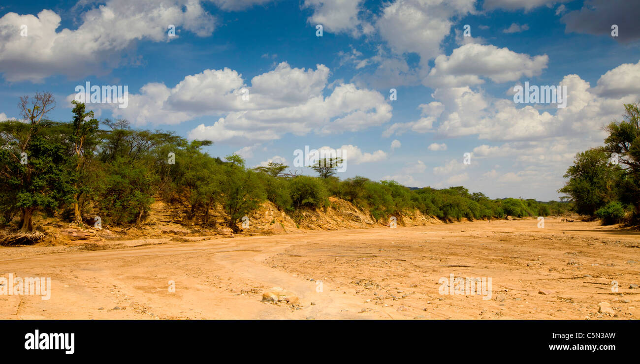 A dried- up riverbed near Tumi in the Lower Omo Valley, Southern
