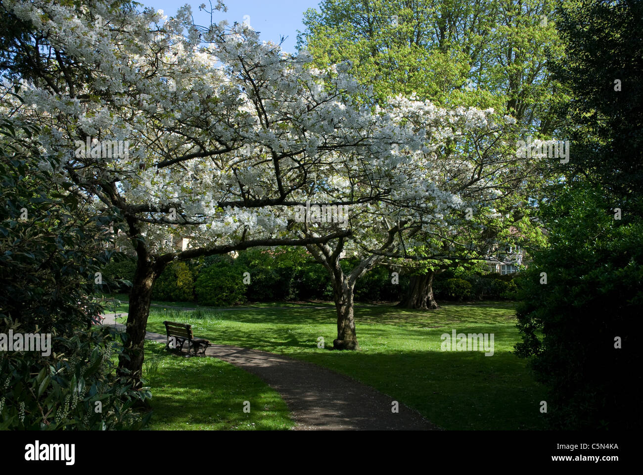 Henrietta gardens hires stock photography and images Alamy