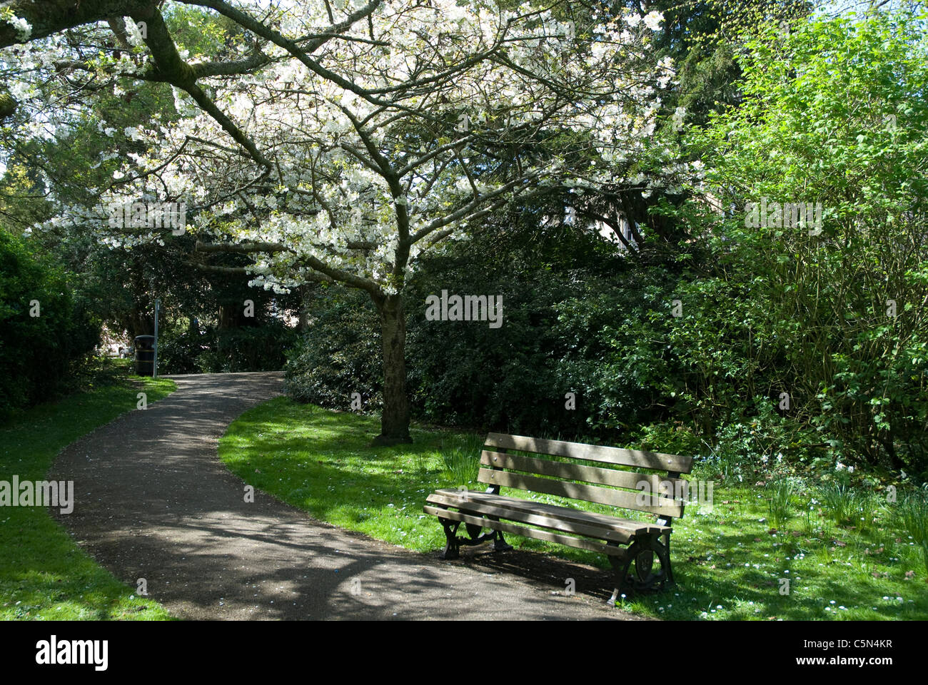 Henrietta gardens bath hires stock photography and images Alamy