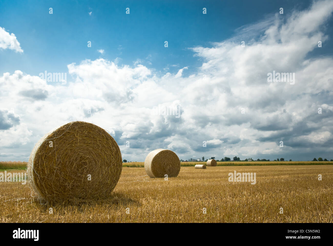 harvested field with straw bales in summer Stock Photo - Alamy
