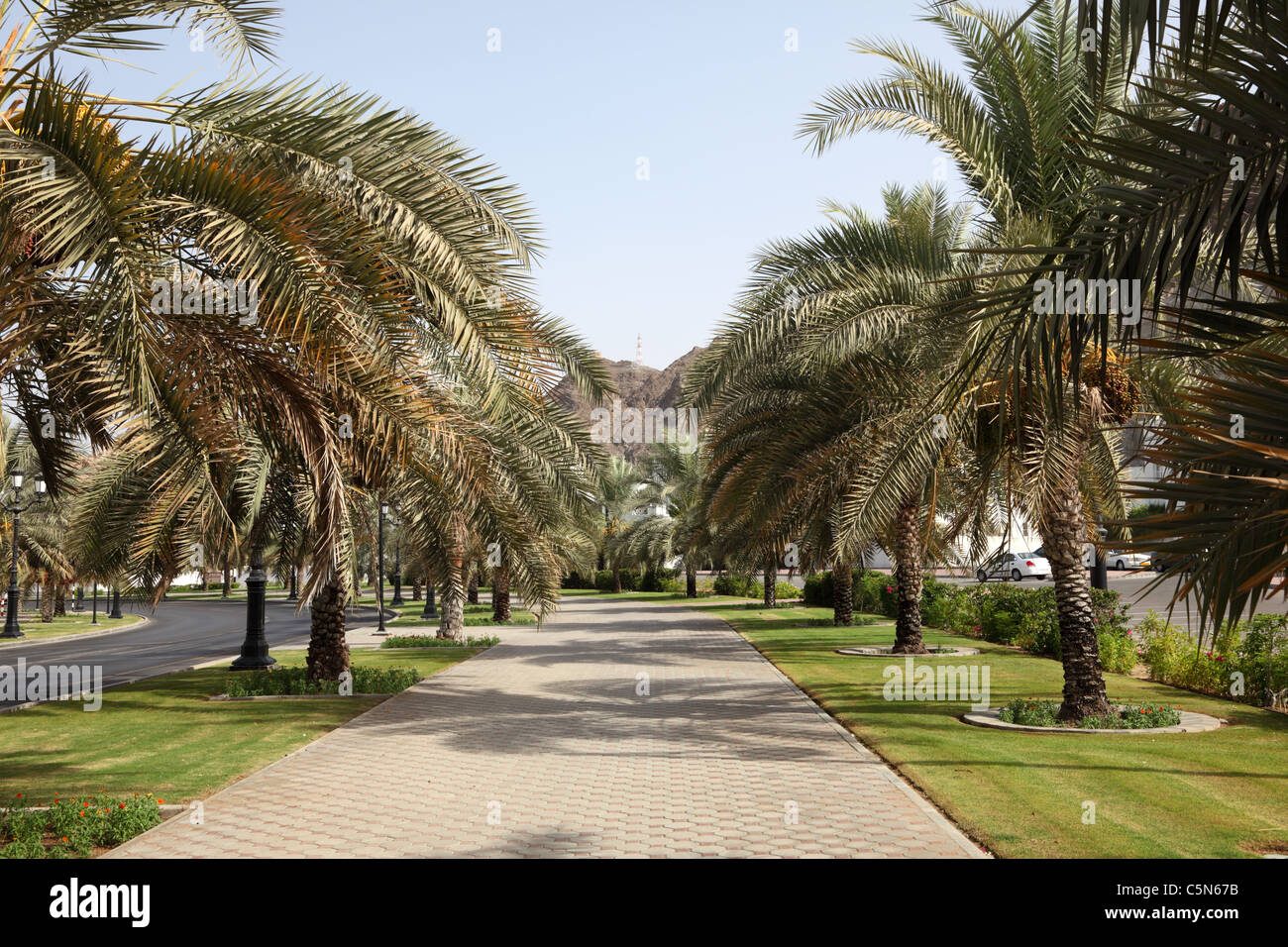 Alley with palm trees in Muscat, Sultanate of Oman Stock Photo