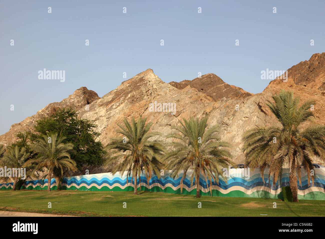 Palm Trees in Muscat, Sultanate of Oman Stock Photo