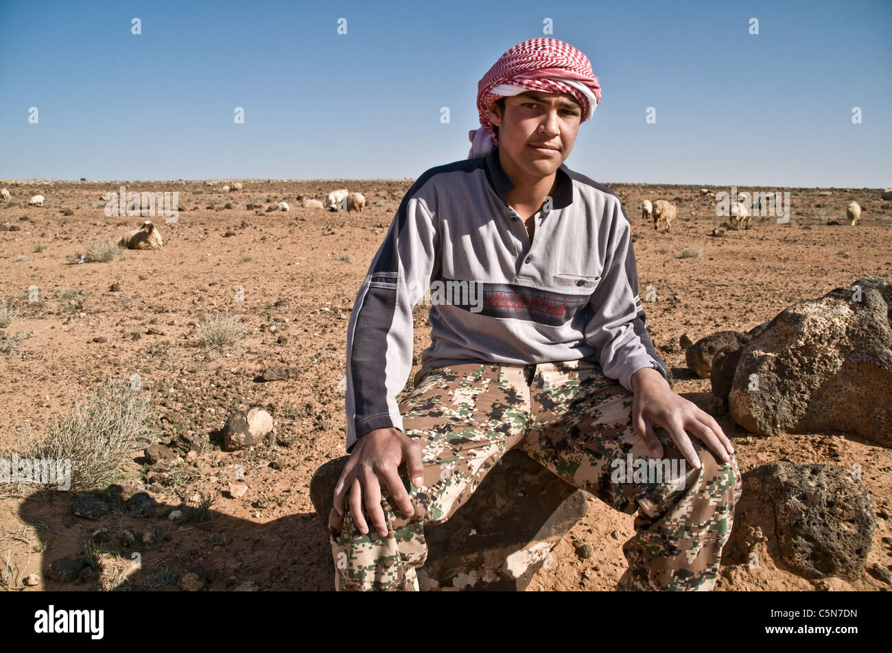 A Bedouin shepherd boy and sheep near the town of Deyr alKahf in the