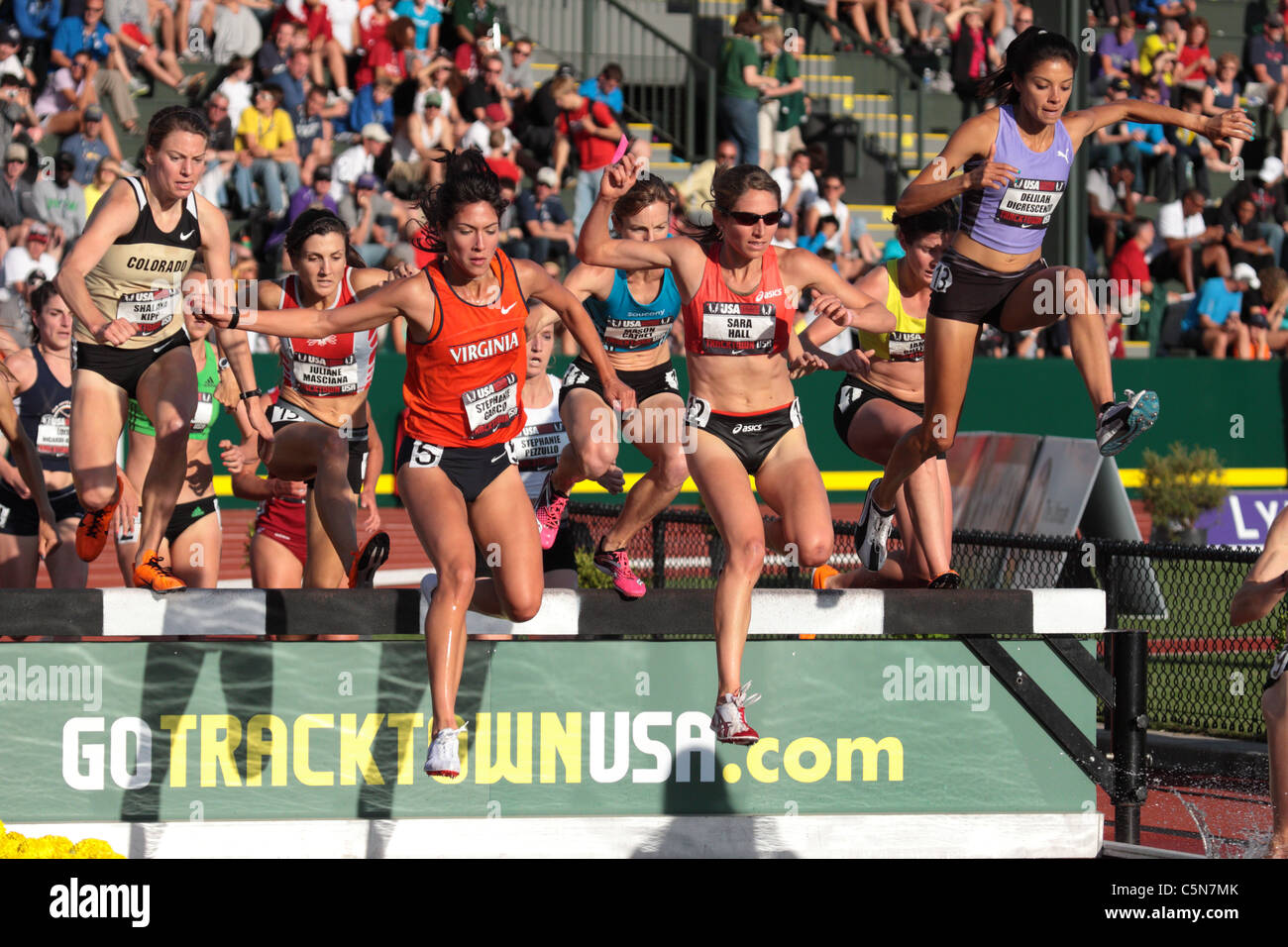 2023 USATF Virginia Fall Distance Running Grand Prix