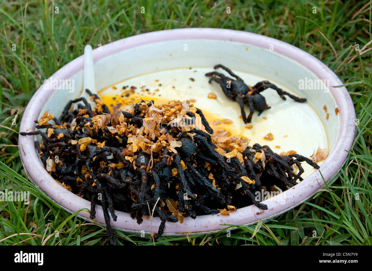 Spider food cambodia hi-res stock photography and images - Alamy