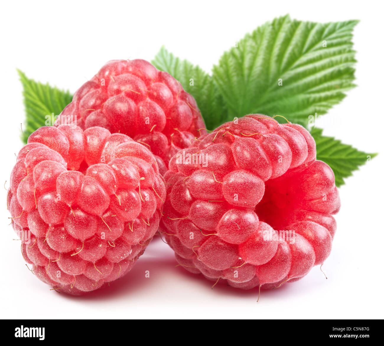 Three perfect ripe raspberries. Isolated on a white background. Stock Photo